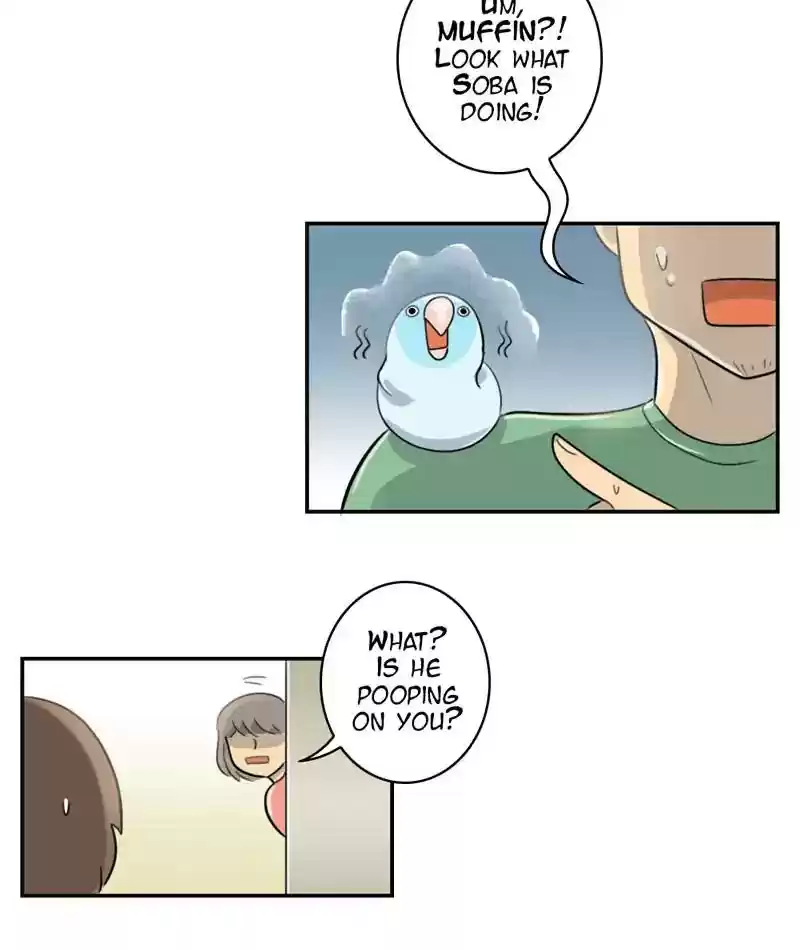 A Budgie's Life Chapter 248: Ep.247: