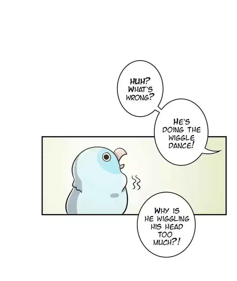 A Budgie's Life Chapter 248: Ep.247: