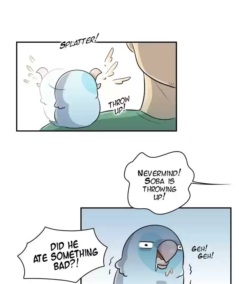 A Budgie's Life Chapter 248: Ep.247: