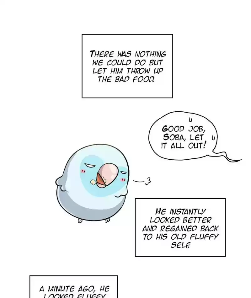 A Budgie's Life Chapter 248: Ep.247:
