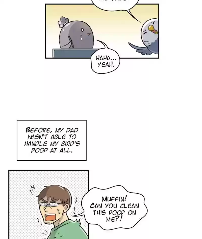 A Budgie's Life Chapter 248: Ep.247: