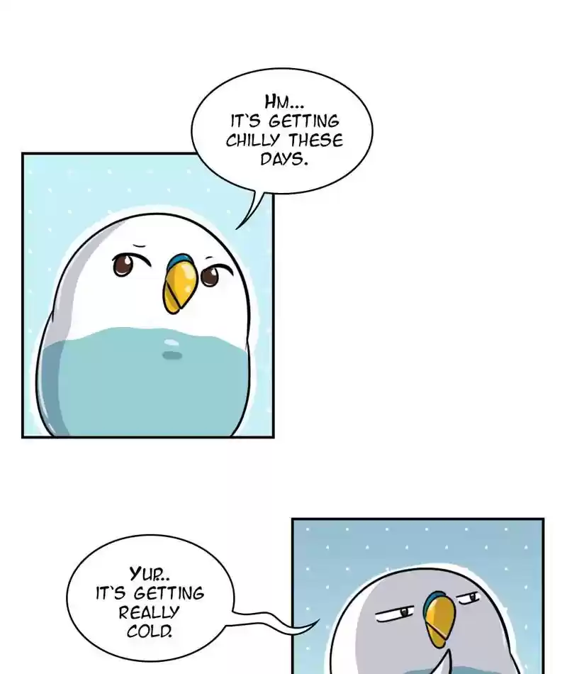 A Budgie's Life Chapter 249: Ep.248: