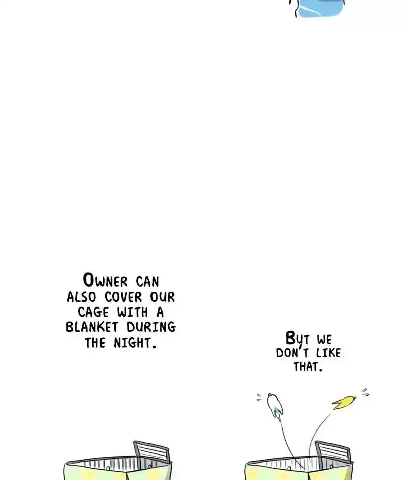 A Budgie's Life Chapter 249: Ep.248: