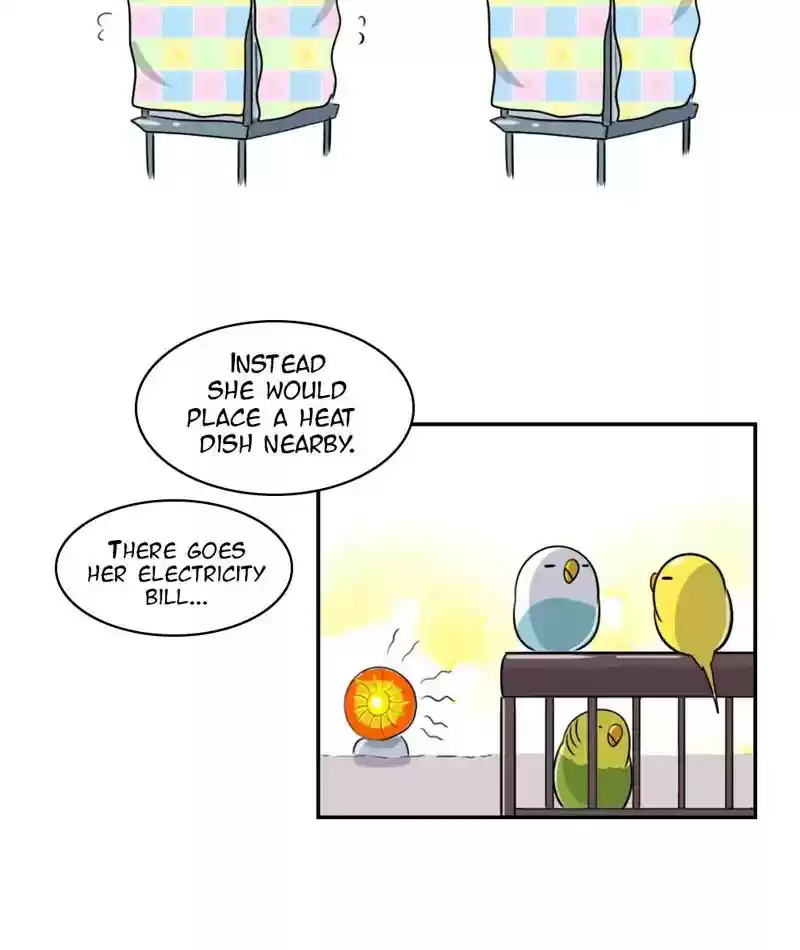 A Budgie's Life Chapter 249: Ep.248: