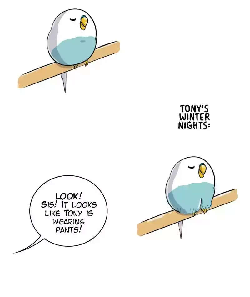 A Budgie's Life Chapter 249: Ep.248:
