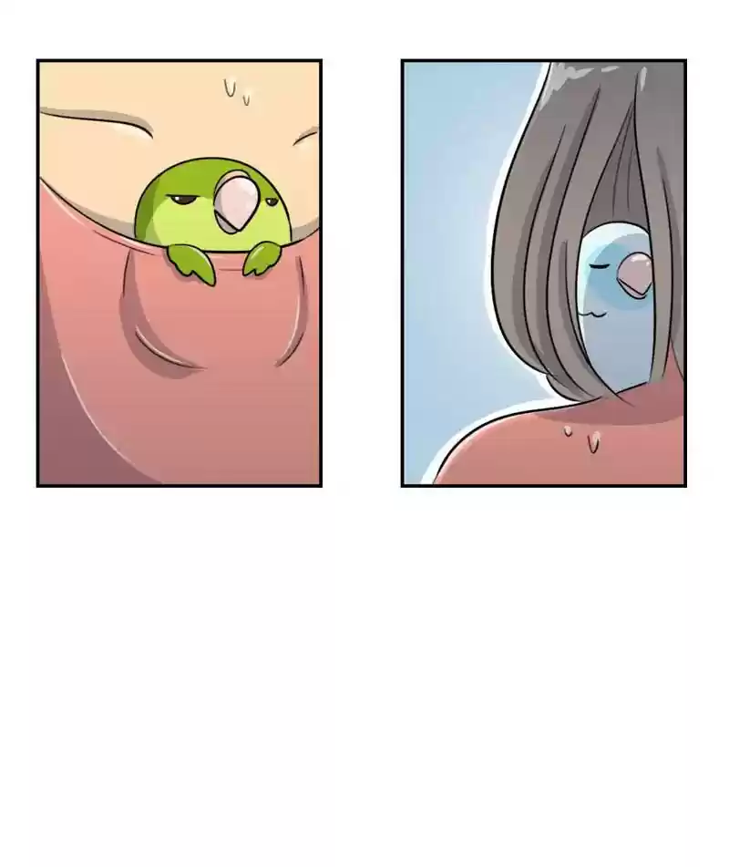 A Budgie's Life Chapter 249: Ep.248: