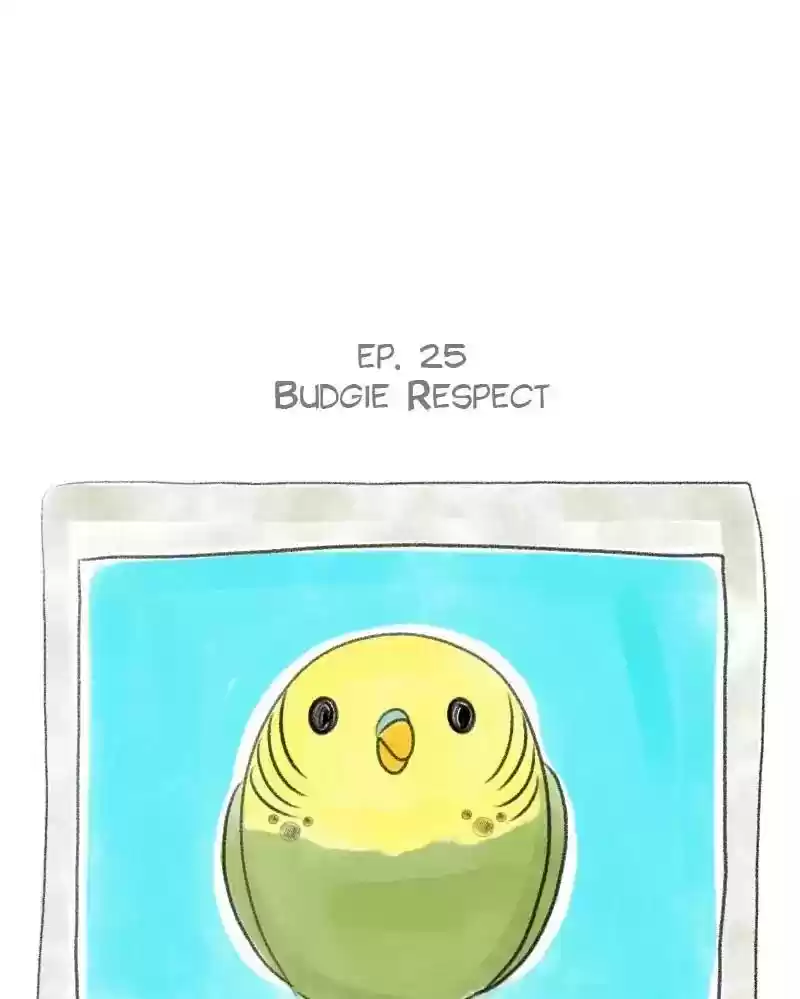 A Budgie's Life Chapter 25: Ep.25: