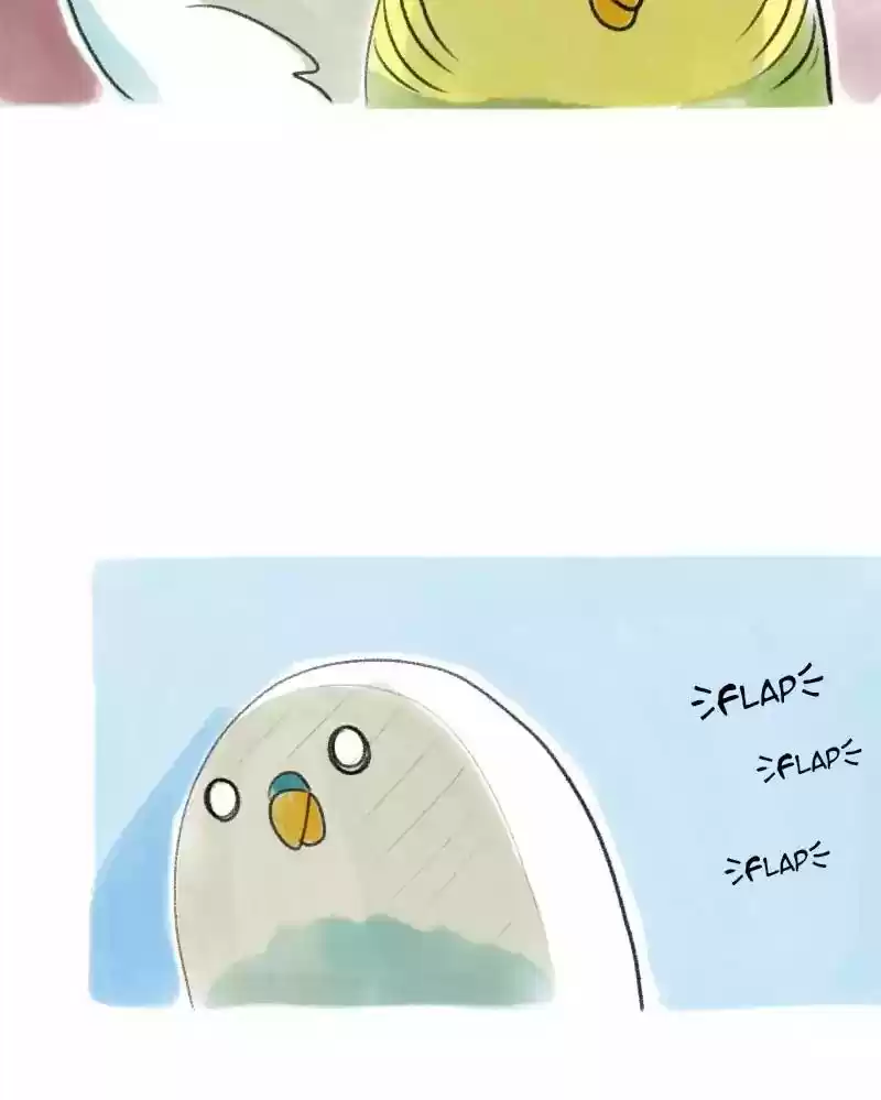 A Budgie's Life Chapter 25: Ep.25: