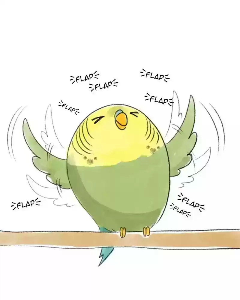 A Budgie's Life Chapter 25: Ep.25: