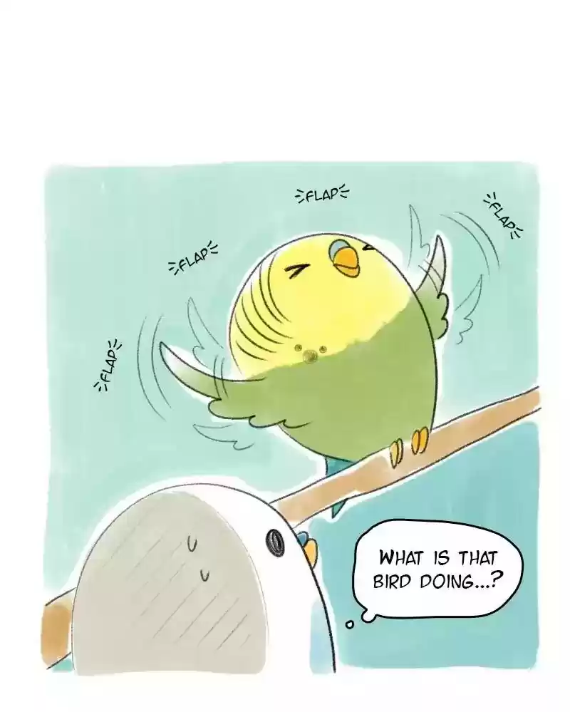 A Budgie's Life Chapter 25: Ep.25: