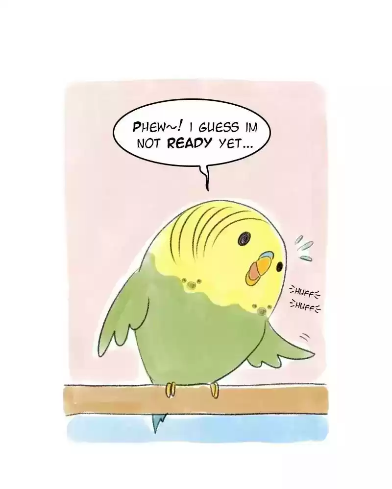 A Budgie's Life Chapter 25: Ep.25: