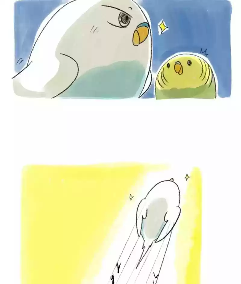 A Budgie's Life Chapter 25: Ep.25: