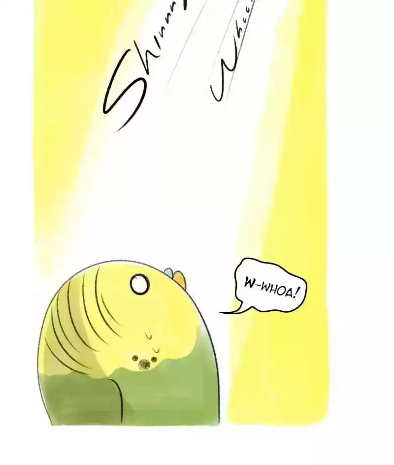 A Budgie's Life Chapter 25: Ep.25: