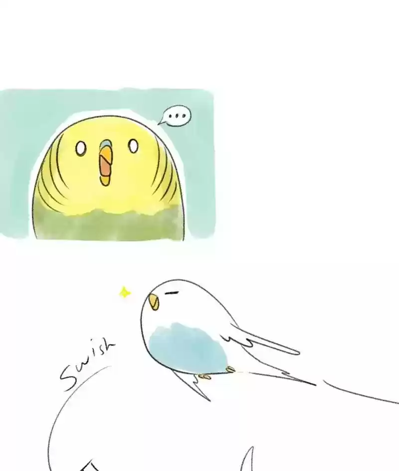 A Budgie's Life Chapter 25: Ep.25: