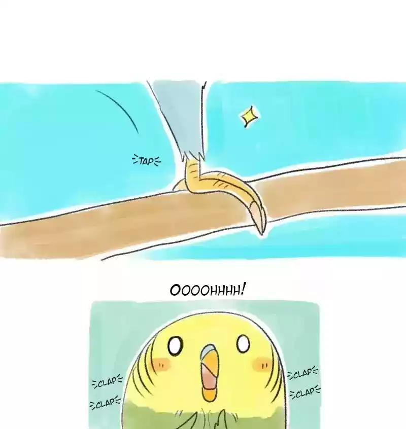 A Budgie's Life Chapter 25: Ep.25: