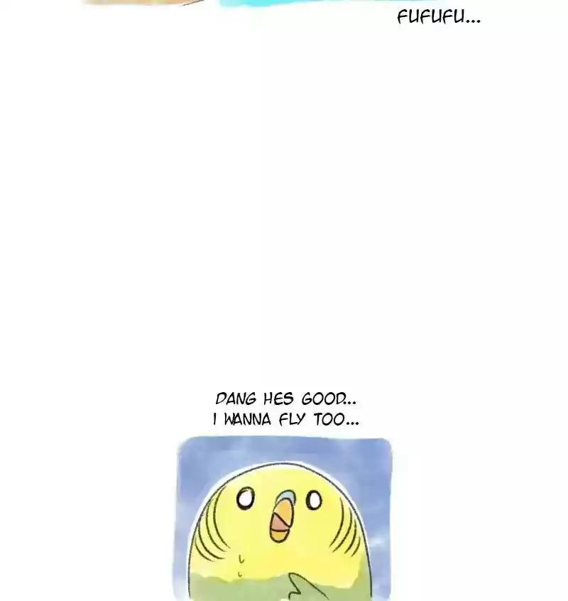 A Budgie's Life Chapter 25: Ep.25: