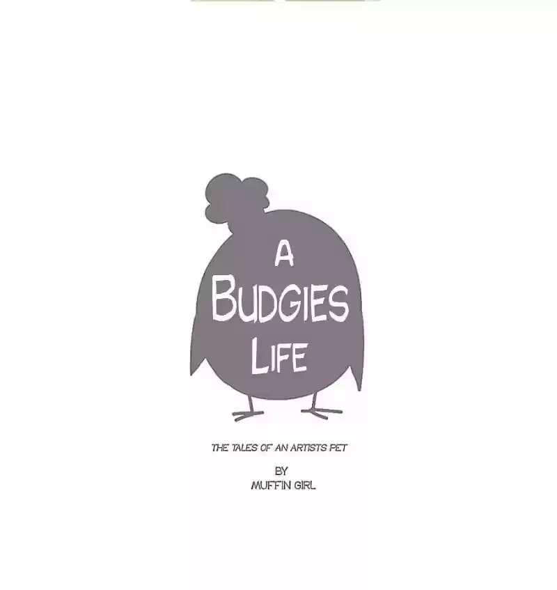 A Budgie's Life Chapter 25: Ep.25: