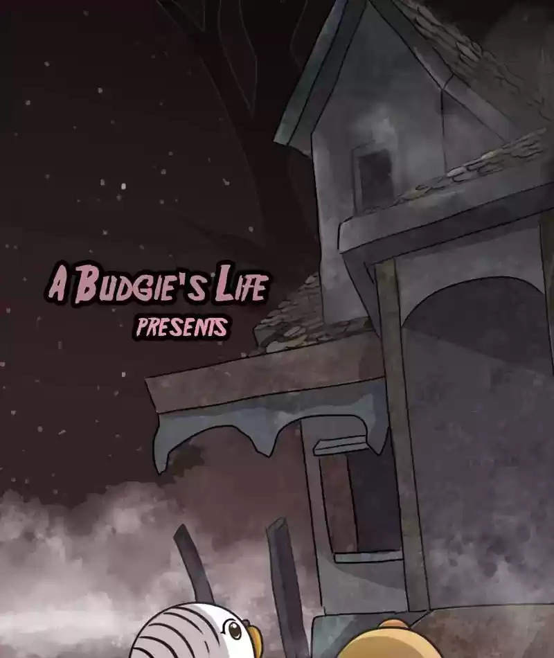 A Budgie's Life Chapter 251: Ep.250: