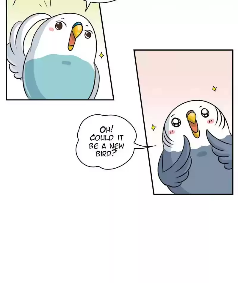 A Budgie's Life Chapter 252: Ep.251: