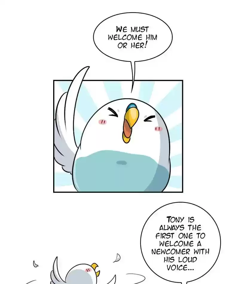 A Budgie's Life Chapter 252: Ep.251: