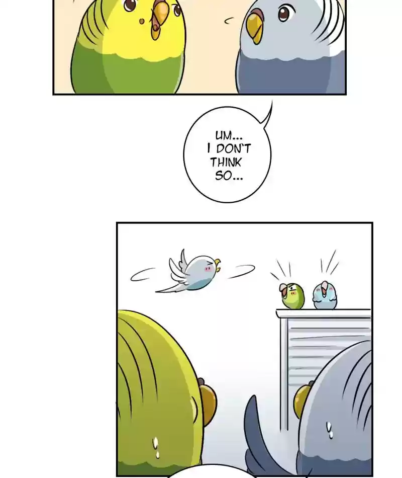 A Budgie's Life Chapter 252: Ep.251: