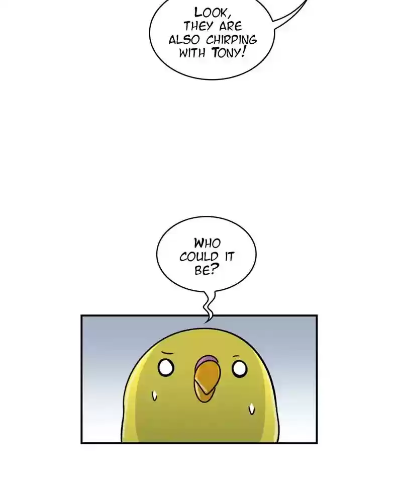 A Budgie's Life Chapter 252: Ep.251: