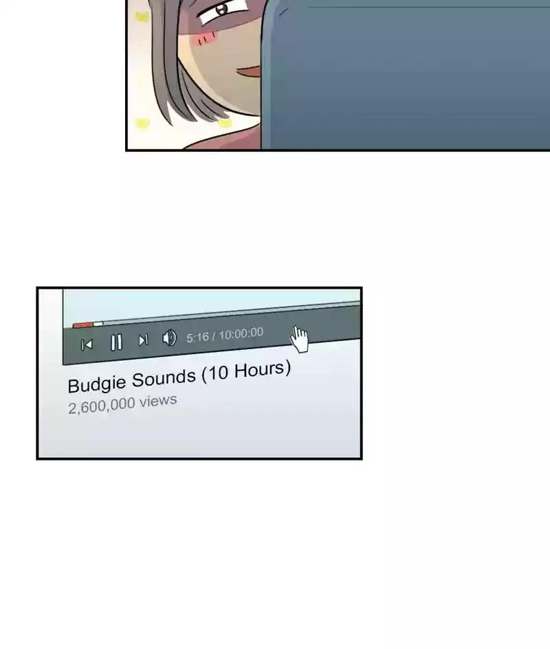 A Budgie's Life Chapter 252: Ep.251: