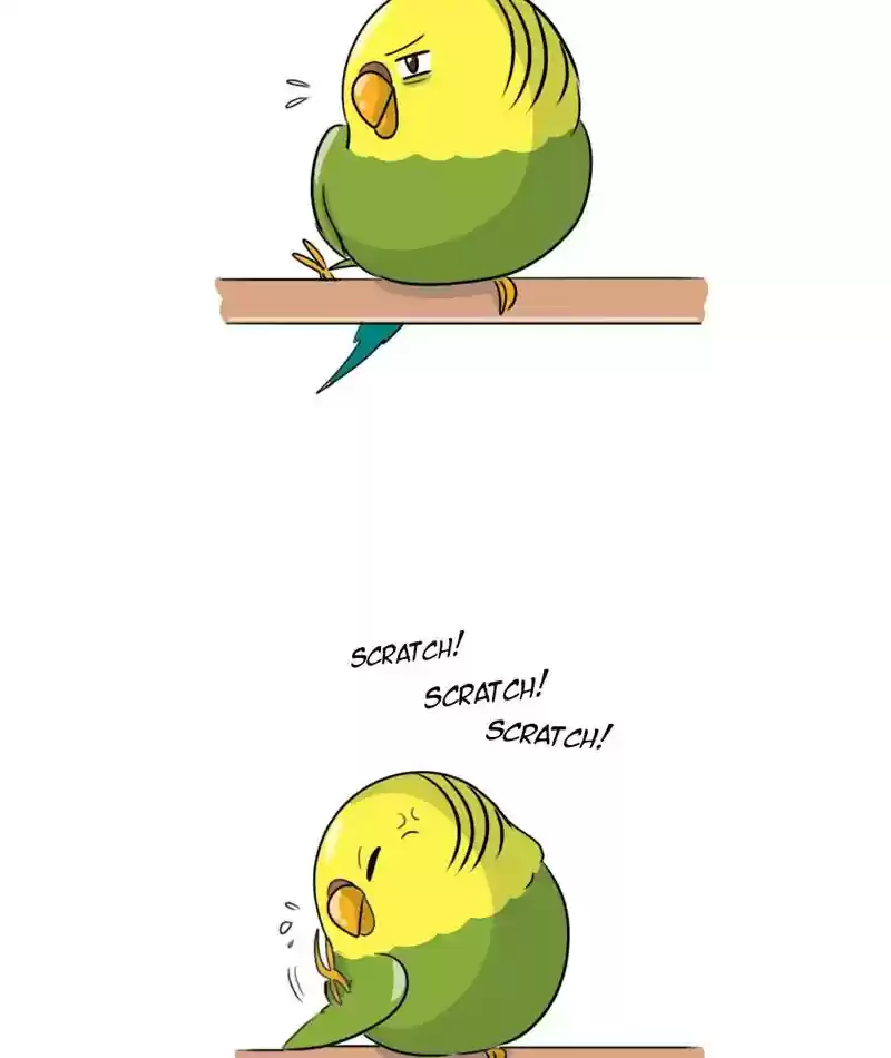 A Budgie's Life Chapter 253: Ep.252: