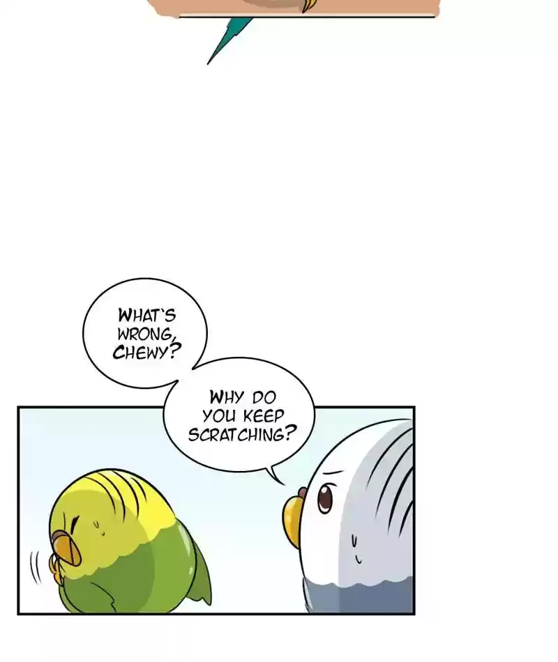A Budgie's Life Chapter 253: Ep.252: