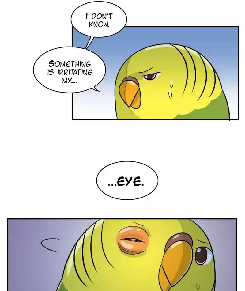 A Budgie's Life Chapter 253: Ep.252: