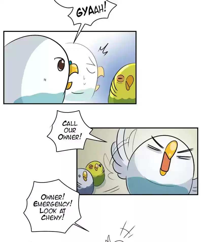 A Budgie's Life Chapter 253: Ep.252: