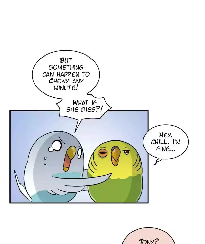 A Budgie's Life Chapter 253: Ep.252: