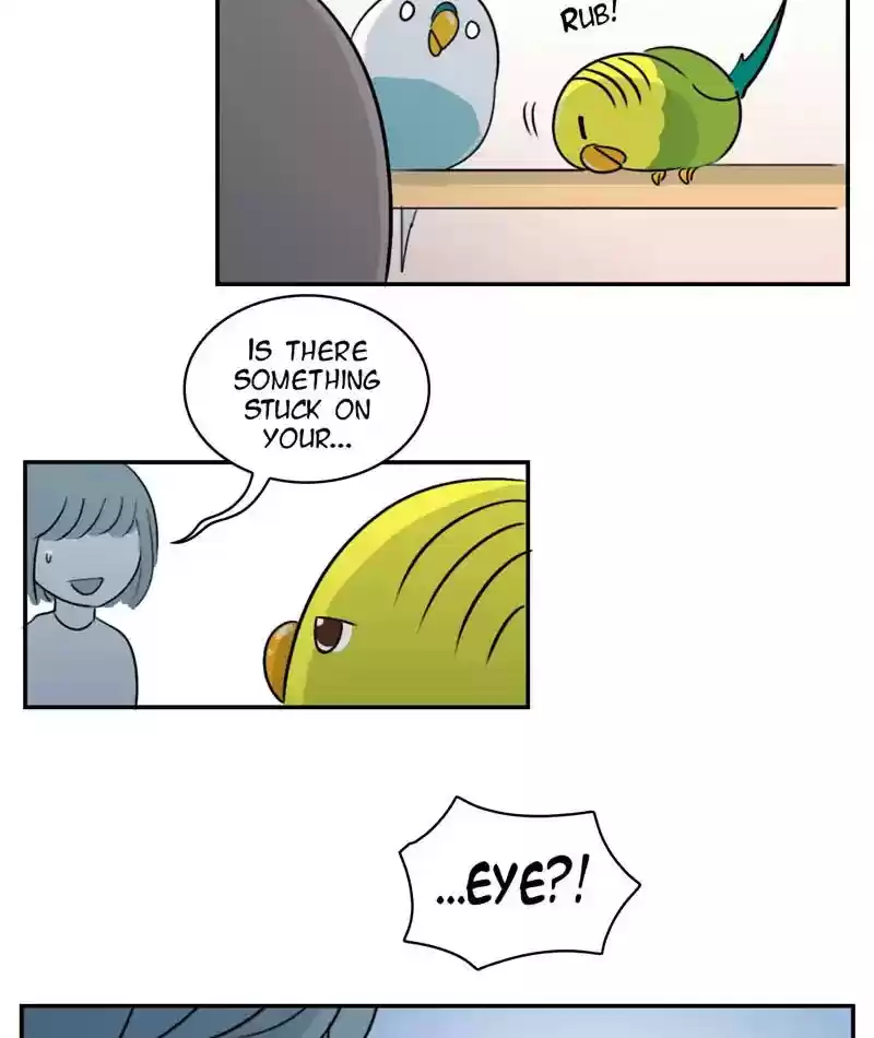 A Budgie's Life Chapter 253: Ep.252: