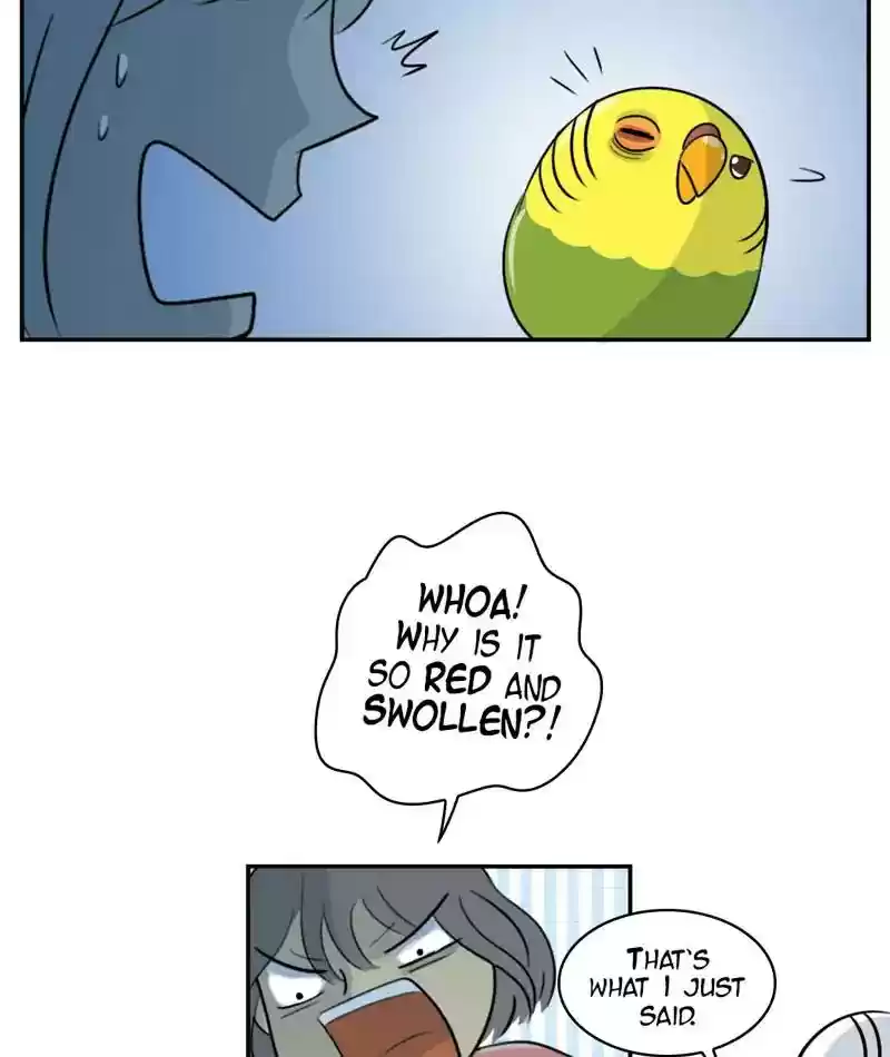 A Budgie's Life Chapter 253: Ep.252: