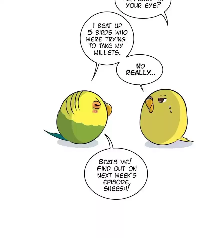 A Budgie's Life Chapter 253: Ep.252: