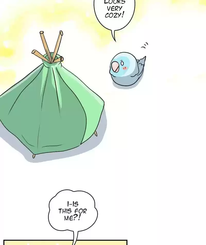 A Budgie's Life Chapter 254: Ep.253: