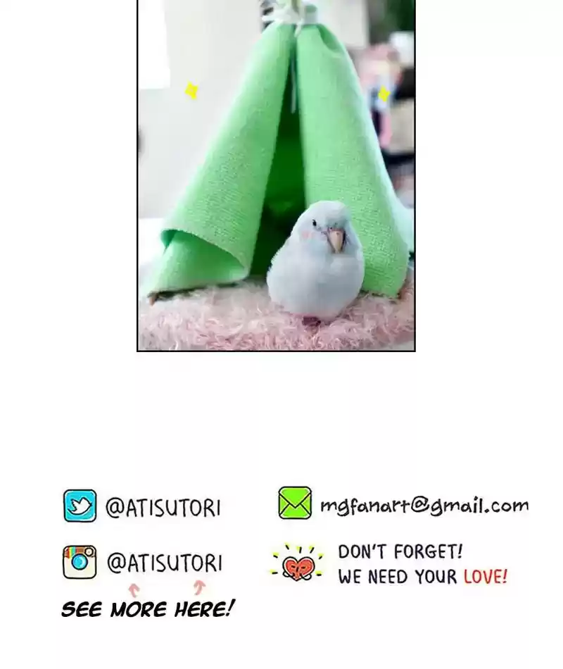 A Budgie's Life Chapter 254: Ep.253: