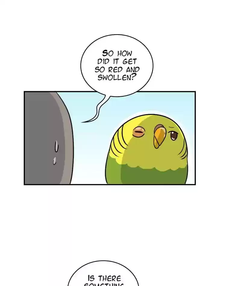 A Budgie's Life Chapter 255: Ep.254: