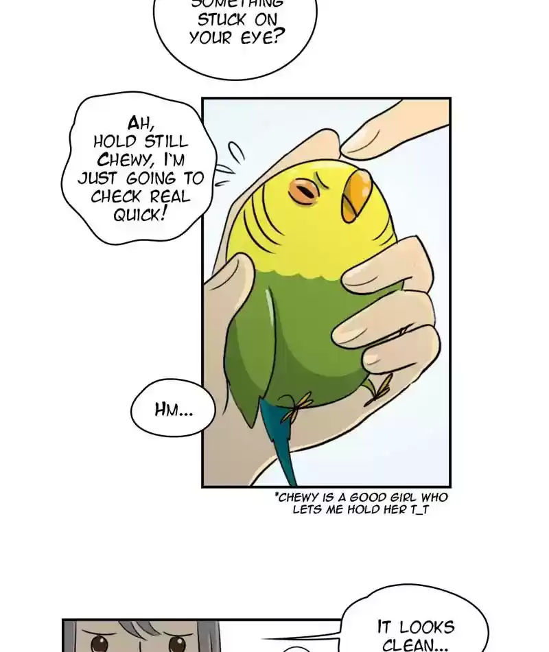 A Budgie's Life Chapter 255: Ep.254:
