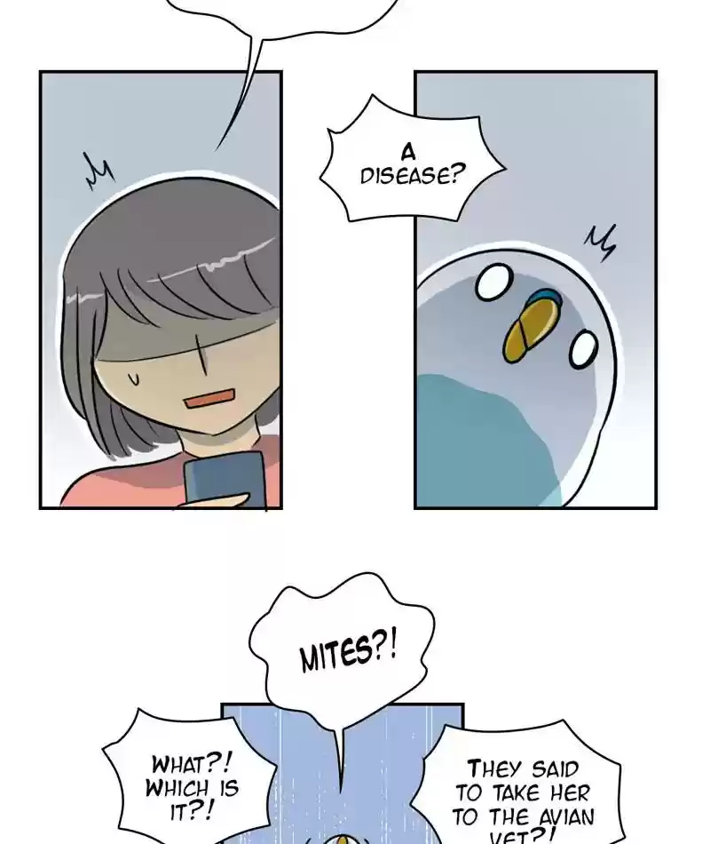 A Budgie's Life Chapter 255: Ep.254: