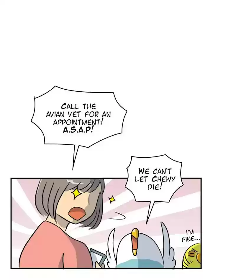 A Budgie's Life Chapter 255: Ep.254: