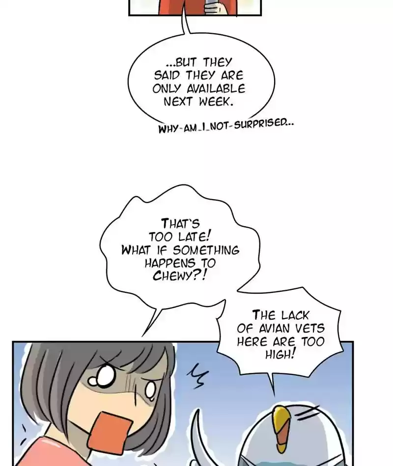 A Budgie's Life Chapter 255: Ep.254: