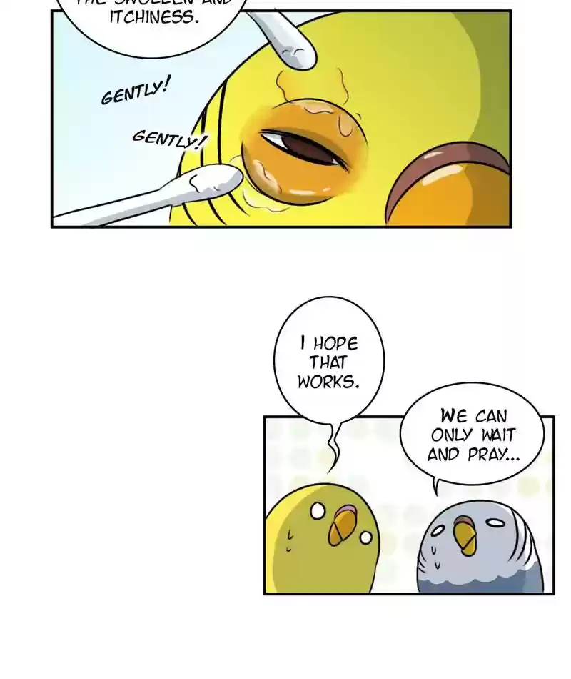 A Budgie's Life Chapter 255: Ep.254: