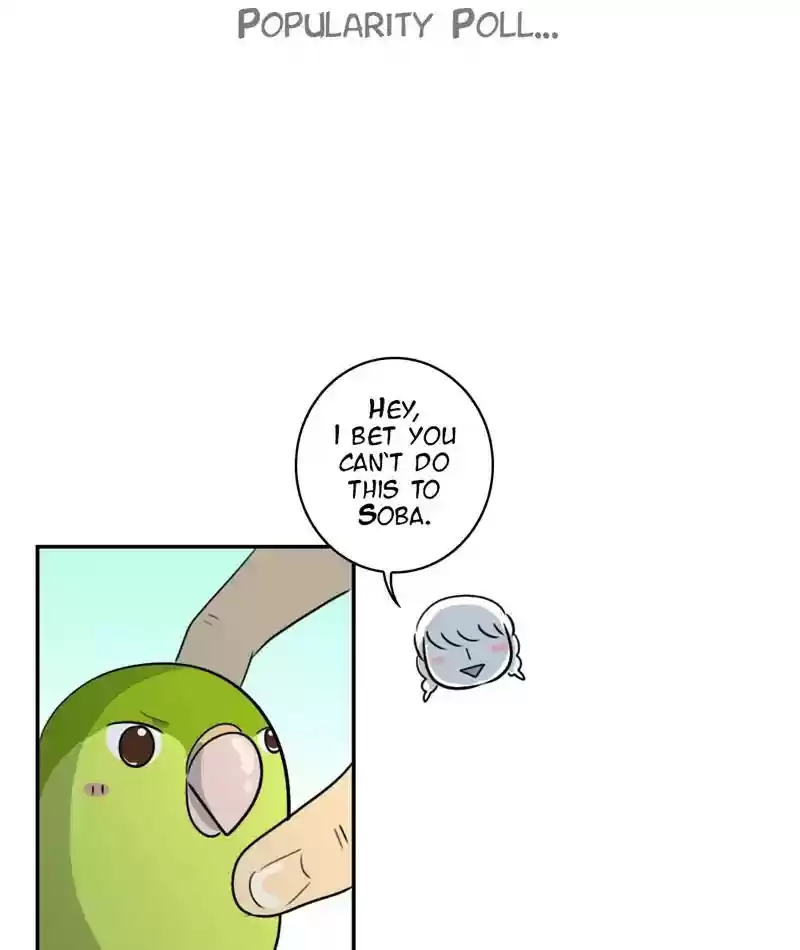 A Budgie's Life Chapter 256: Ep.255: