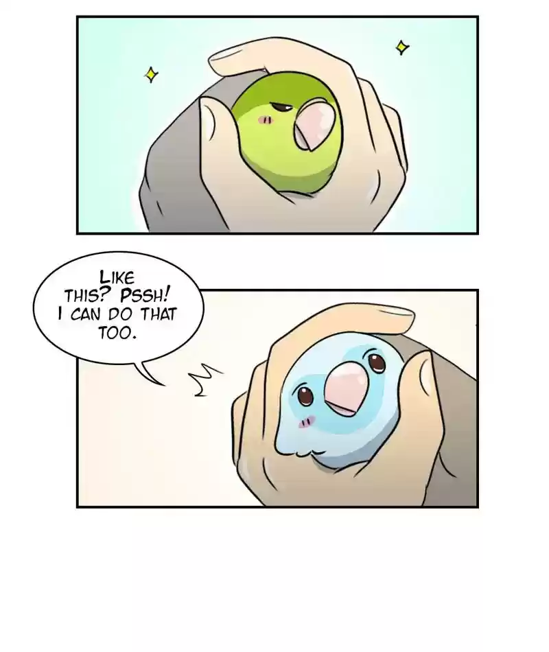 A Budgie's Life Chapter 256: Ep.255: