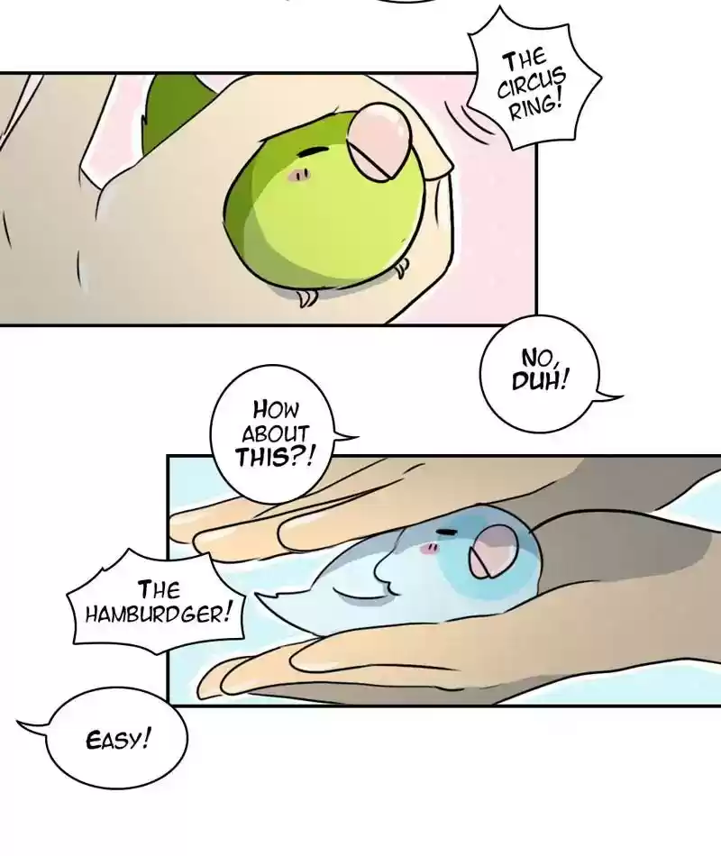 A Budgie's Life Chapter 256: Ep.255: