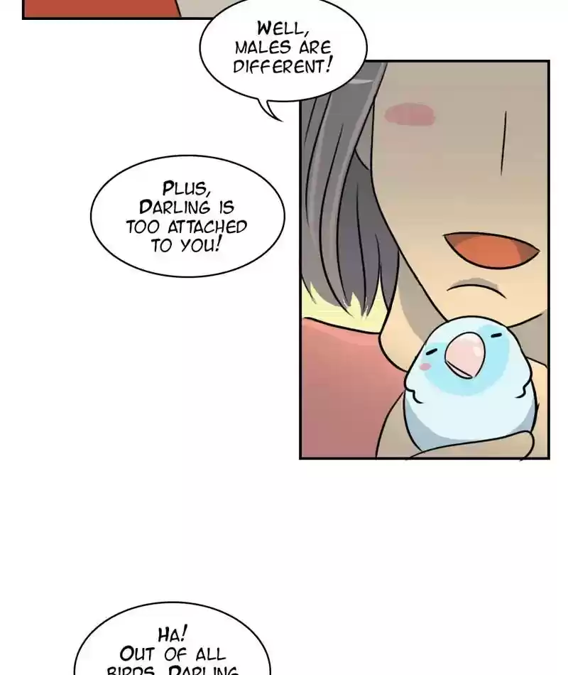 A Budgie's Life Chapter 256: Ep.255: