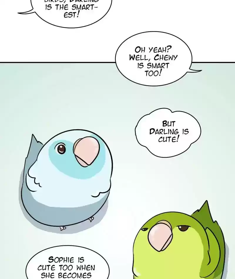 A Budgie's Life Chapter 256: Ep.255: