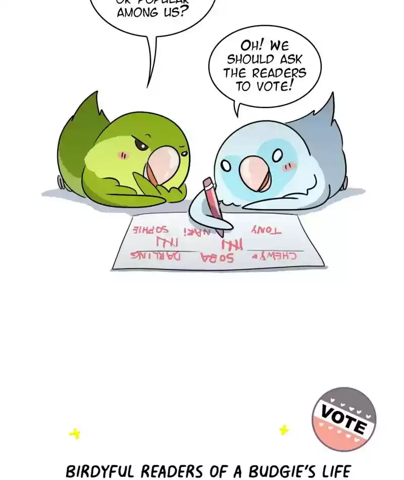 A Budgie's Life Chapter 256: Ep.255: