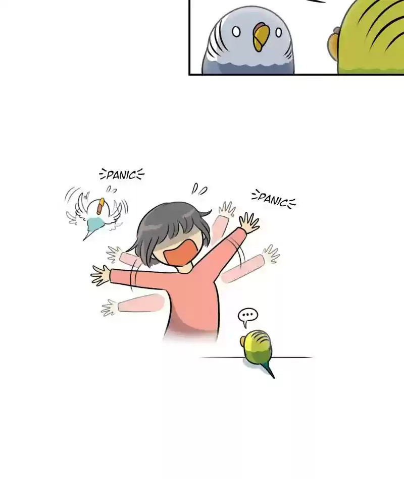 A Budgie's Life Chapter 257: Ep.256: